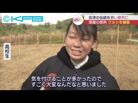 （20241113）みんなのSDGs「高校生がウルシを植栽」