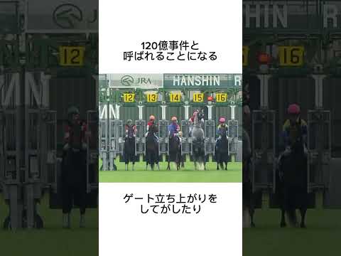 ゴルシなんだから仕方ない　#競馬 #馬 #騎手 #競艇 #競輪#雑学