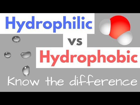 Hydrophilic vs Hydrophobic | Substances | Cell Membranes