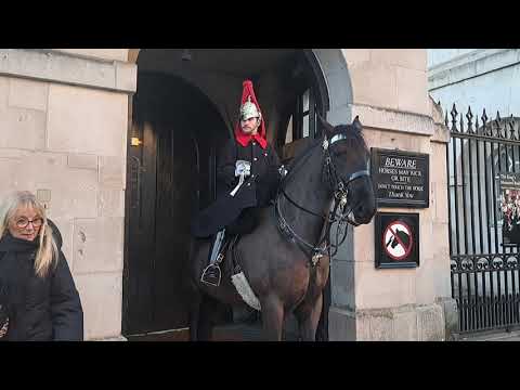 King's guards horses #King #guard #horse #london #ytshots #india @vichethediamonds#