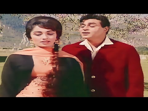 Ae Phoolon Ki Rani Baharon Ki Malika | 4k Video | Arzoo | Sadhana, Rajendra Kumar, Mohammed Rafi