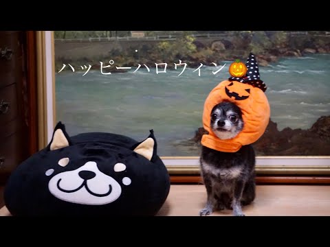 ハッピーハロウィン