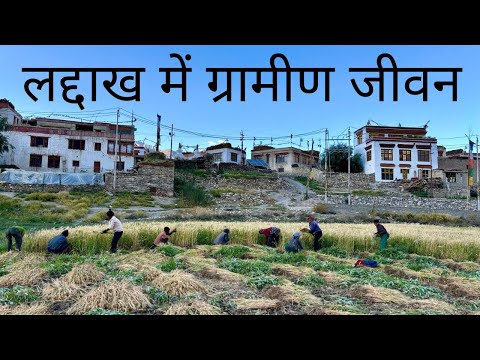 Village Life in the Cold Desert of Ladakh | लद्दाख के ठंडे रेगिस्तान में ग्रामीण जीवन|The Young Monk