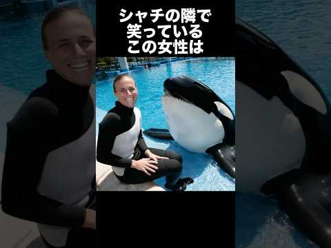 女性調教師が水族館のシャチに喰われた事件　　　　　　　　　　　　　#怖い #水族館 #シャチ #悲劇