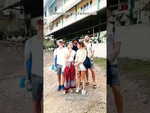 Marius Lohmueller & Friends I Wentworth Tea Factory I Pazhassi's Cave I Cherambadi I Nilgiris