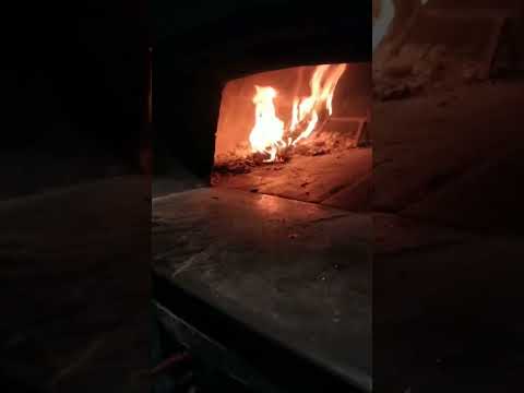 wood fire 🔥 pizza#annanagar #chennai#youtubeshorts #viralvideo #youtube #2023.