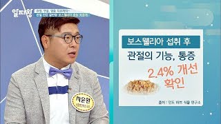 관절염 예방에는 '보스웰리아' ☞관절 건강 끝판왕! TV정보쇼 알짜왕 85회