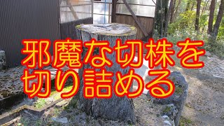 邪魔な切株をなんとかしたい　―　ボロ家暮らしの日常