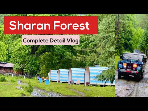 Sharan Forest | Part 01 | Complete Detail | Naran Kaghan Valley