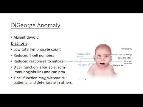 T cell Immunodeficiencies