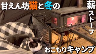 猫と薪ストーブでぬくぬく湖畔キャンプ！【冬キャンプ】