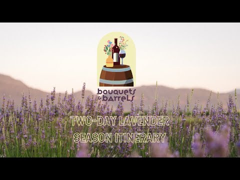 Two-Day Lavender Season Itinerary | Bouquets & Barrels