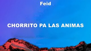 Feid - CHORRITO PA LAS ANIMAS (Lyrics) Meghan Trainor, ROSALÍA, Feid, Karol G