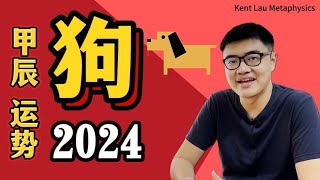 冲太岁其实可以很好？今年最强大的改革者：2024甲辰年运势——【狗】Dog｜龙年运程