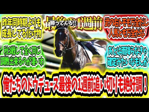 『有馬に向けて死角なし‼俺たちのドウデュース最後の1週前追い切りも絶好調‼』に対するみんなの反応【競馬の反応集】