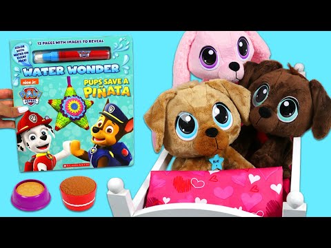 Cute Puppies Get Paw Patrol Water Wonder Bedtime Story!