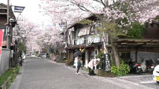 20160406_九州自駕day6_13_阿蘇神社前散策街道