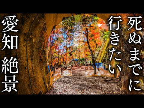 [Jokoji Temple/Aiki Tunnel Group] 4 Spectacular Views of Aichi to Visit in Autumn - JAPAN in 8K