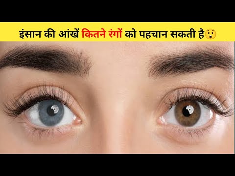 इंसान की आंखें कितने रंगों को पहचान सकती है😲 | #shorts #eyes #ytshort