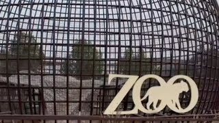 The Zoo Wild Life Park Umm Al Quwain , Kids friendly zoo in UAE //nature friendly zoo in ajman