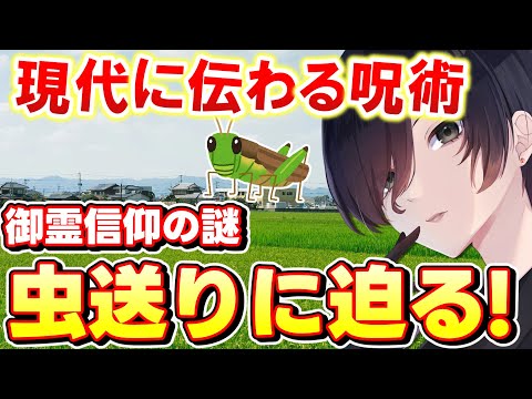 【 民俗学 雑学 】米作りに使われる呪術…！？「虫送り」を徹底解説【 稲作 Vtuber 天道巳弧 】