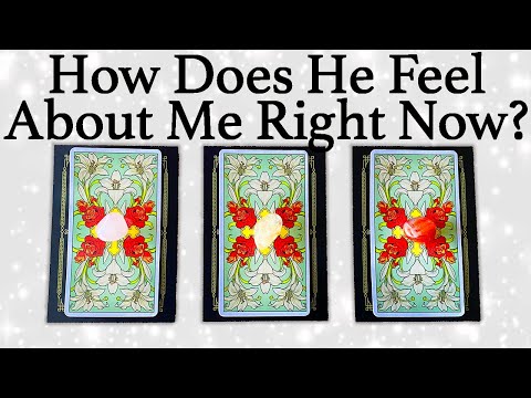 💕WHAT DOES HE/SHE THINK AND FEEL ABOUT ME RIGHT NOW?💕| 🔮Pick A Card🔮 | Love Tarot Reading (Timeless)