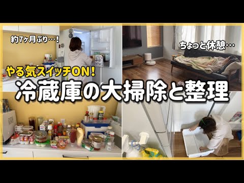 冷蔵庫掃除と賞味期限の見直し/全中身公開/食品ロスゼロを目指す収納