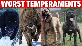 Beware! These 10 Dog Breeds with the Worst Temperaments