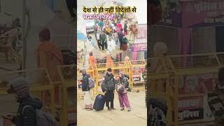 #videsh_bhatya #mahakumbh2025 #kumbhmelaprayagraj #news #shortsfeed #videshikumbh