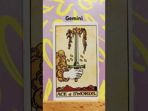 Gemini / It’s time to get a move on #tarot #gemini