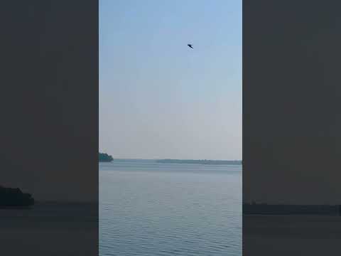 Linganamakki Dam Back waters, Sharavathi Valley.