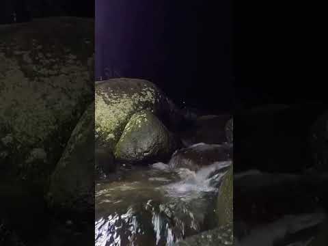 The beautiful flow of river water at night #river #riversounds #riversoundsrelaxing #soothingsound