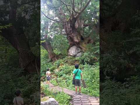 山の神に出会う