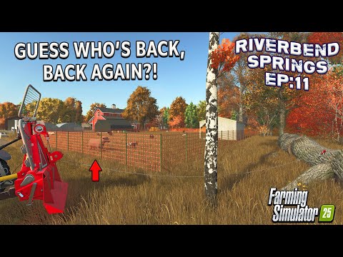 A CHRISTMAS SURPRISE!! ON RIVERBEND SPRINGS? #11 | Farming Simulator 25.