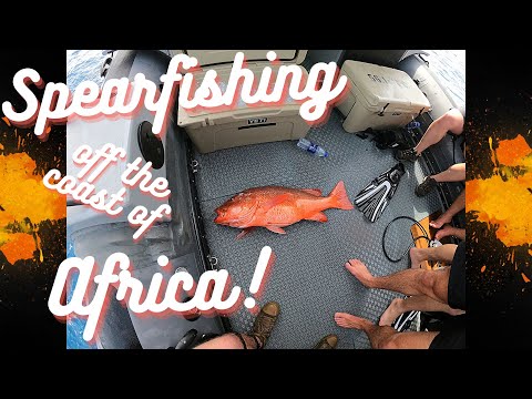 Adventures in African Waters || Diving and Spearfishing Clips