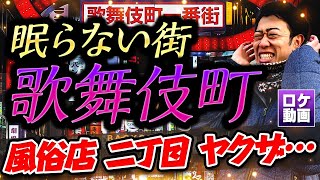 【歌舞伎町】知られざる歴史とは？誕生から現在まで現地からわかりやすく解説