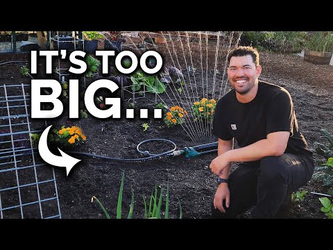 Planting a MASSIVE In-Ground Bed (Why Did I Do This?)