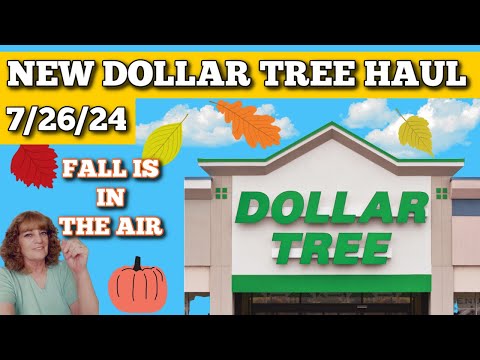 New items at Dollar Tree fun haul 7/26/24