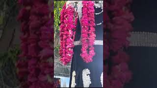 Ya Hussain Ya Hussain jafaria Colony 28 muharran 2023 follow me live my video