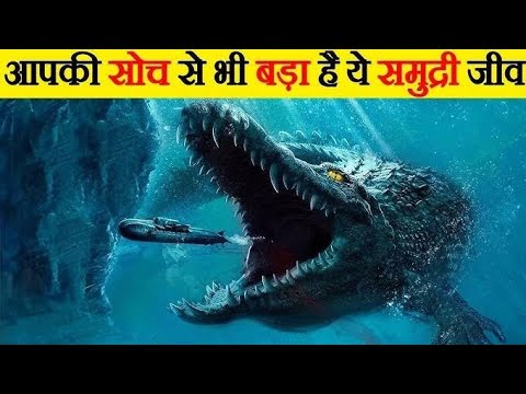 Secret of the Deep Sea Ocean 🌊#facts #youtube #incredibleinsight #ocean #sea #gk #motivation #yt