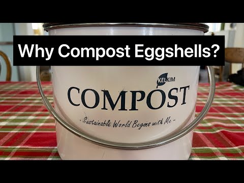 Why Compost Eggshells?