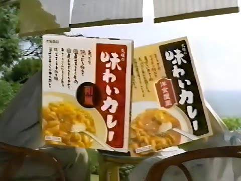 昔 の CM 大塚食品 味わいｶﾚｰ