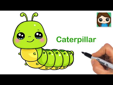 How to Draw a Caterpillar 🐛 Cute Insect