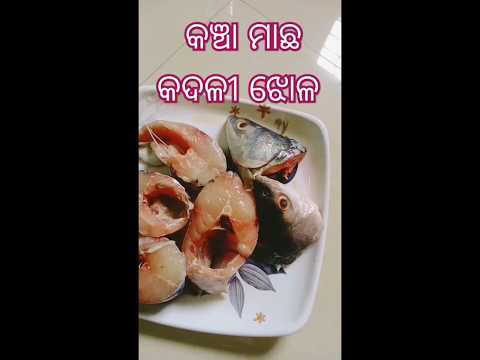 କଞ୍ଚା ମାଛ କଦଳୀ ଝୋଳ#fishcurry with banana#food #recipe #shorts #odiamarrige #minivlog