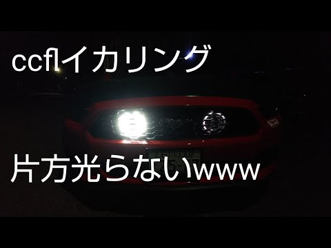 CCFLイカリング 取り付け！ニードフォースピード マスタング 2015 エコブースト