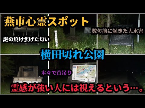 【燕市心霊スポット巡り】section② 横田切れ公園編