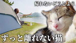 [subtitles]野良猫カムバック！絶景湖畔キャンプ