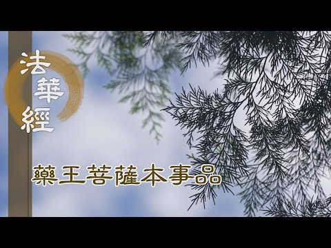 【靜思妙蓮華】 法華經 藥王菩薩本事品 - 如來光明 遍照十方 - 第1849集 20250113