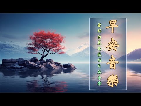 【 PIANO MUSIC 】早上最適合聽的輕音樂，眺望一片綠意，療癒減壓，感受無比的心曠神怡，輕鬆柔和的舒壓音樂