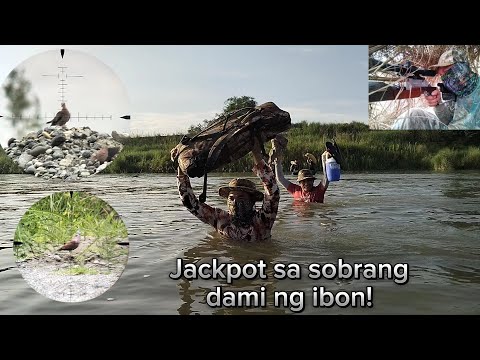 Airgun Hunting PH ep44: Tawid ilog bird hunting